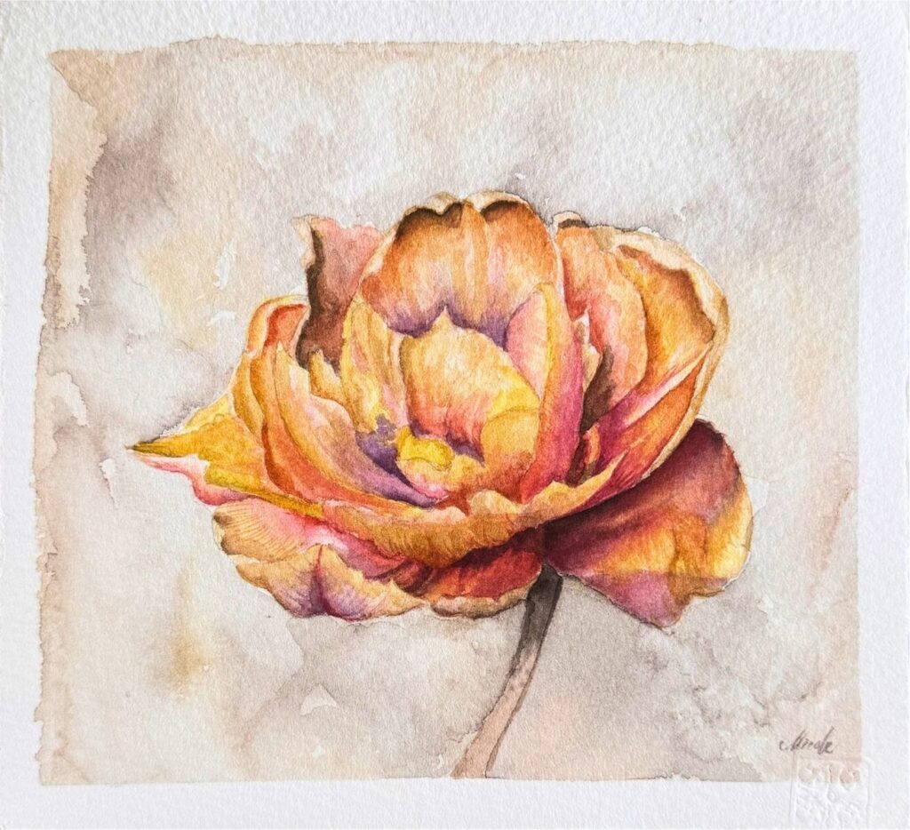 Tulipa Acuarela